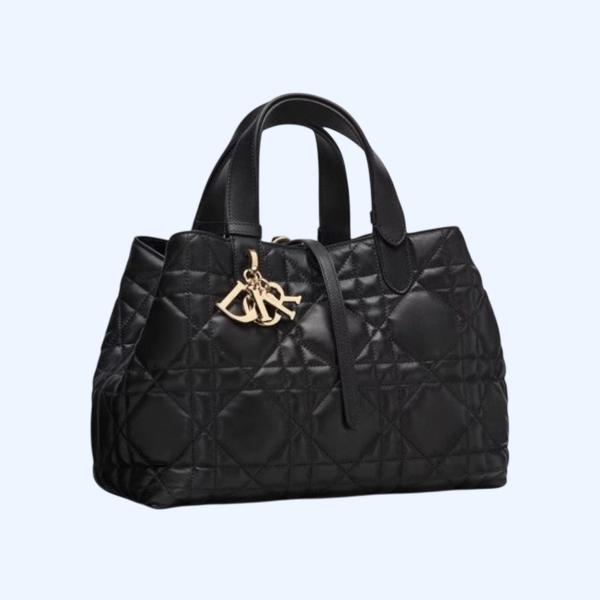 디올 뚜주흐 미디엄백 TOP팩토리