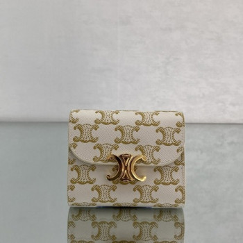 셀린느 트리옹프 트리오페 카드 지갑 캔버스 60030 -2