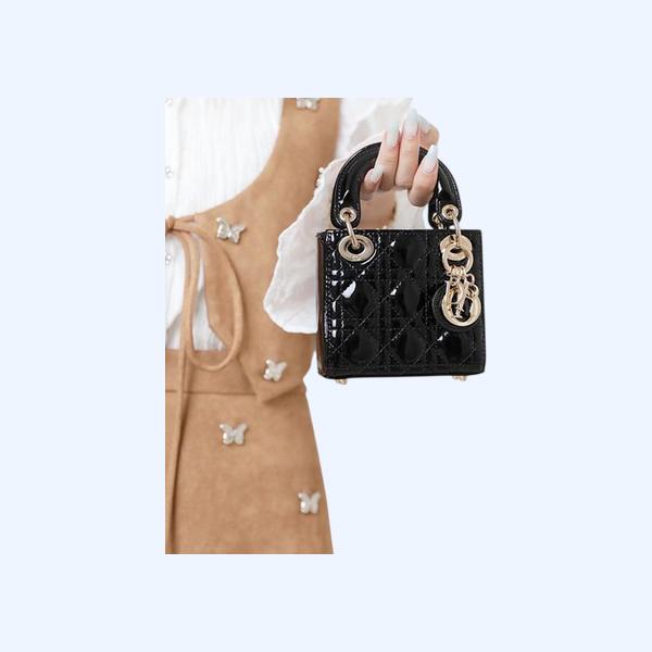 디올 레이디백 마이크로