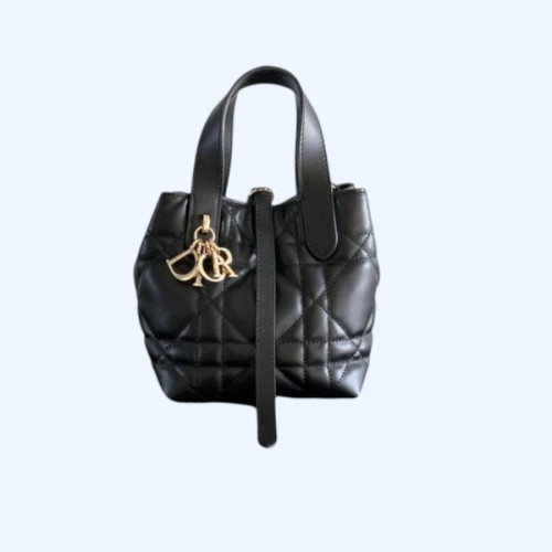 [ Dior ] 디올 Toujours 미니 백
