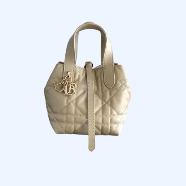 [ Dior ] 디올 Toujours 미니 백