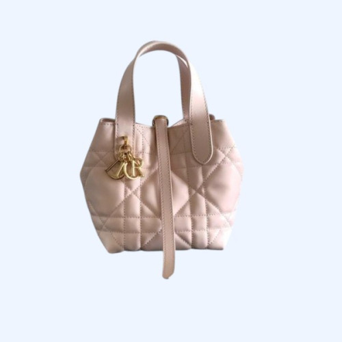 [ Dior ] 디올 Toujours 미니 백