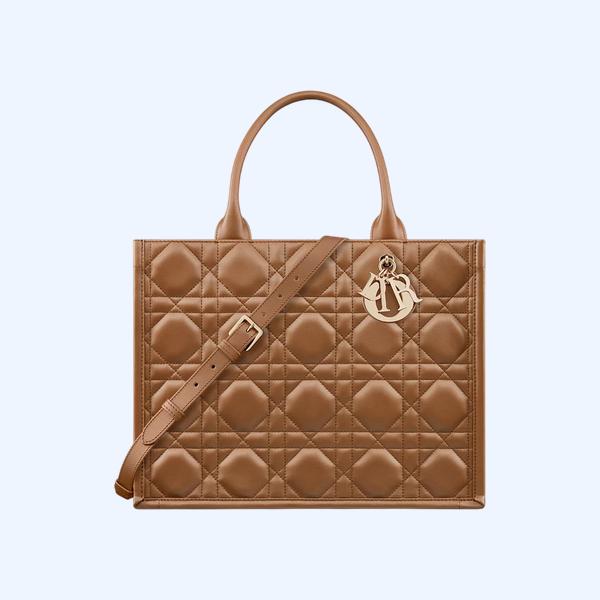 Dior Book Tote 미디엄 백