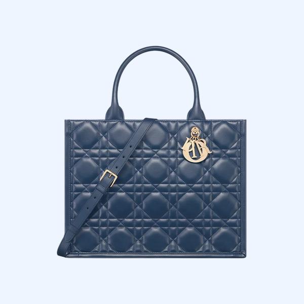 Dior Book Tote 미디엄 백