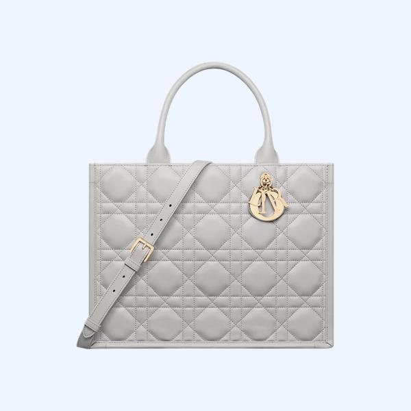 Dior Book Tote 미디엄 백