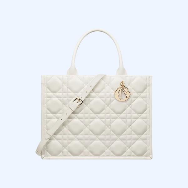 Dior Book Tote 미디엄 백
