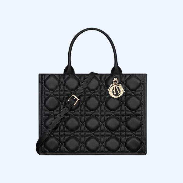 Dior Book Tote 미디엄 백