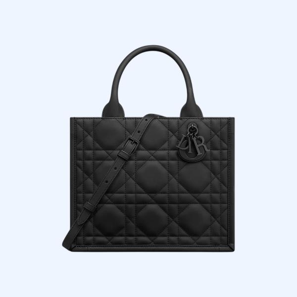 Dior Book Tote 스몰 백