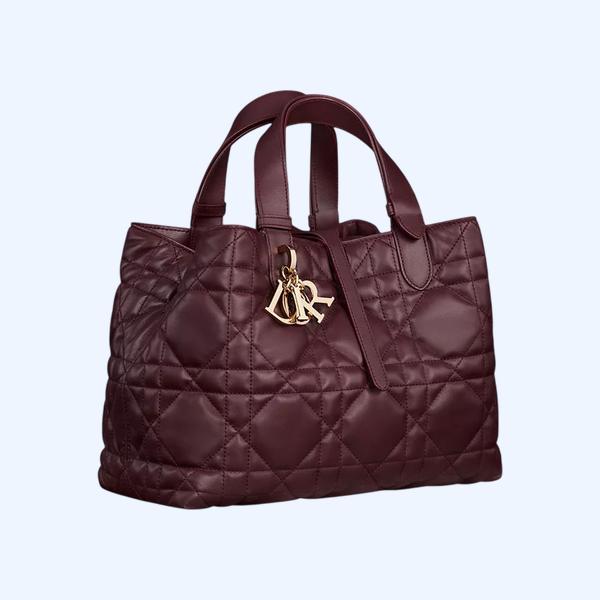 Dior Toujours 미디엄 백 버킹