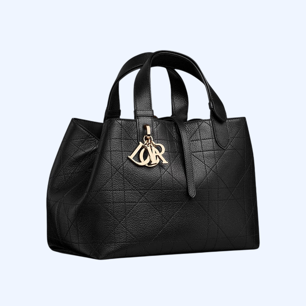Dior Toujours 미디엄 백