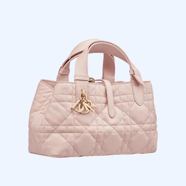 Dior Toujours 스몰 백