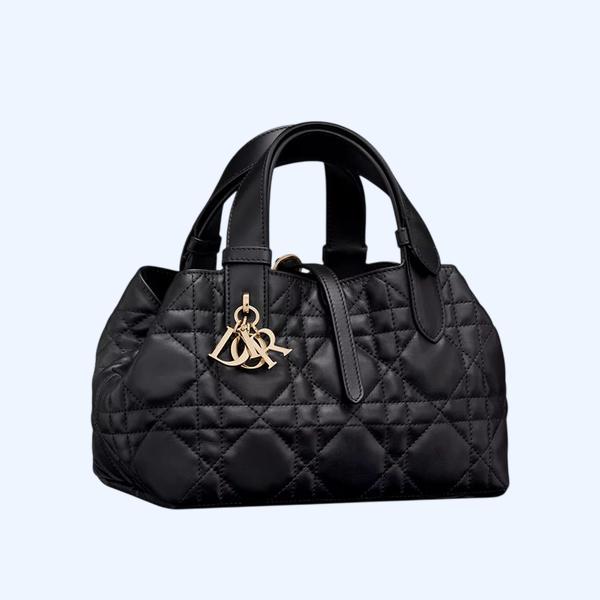 Dior Toujours 스몰 백