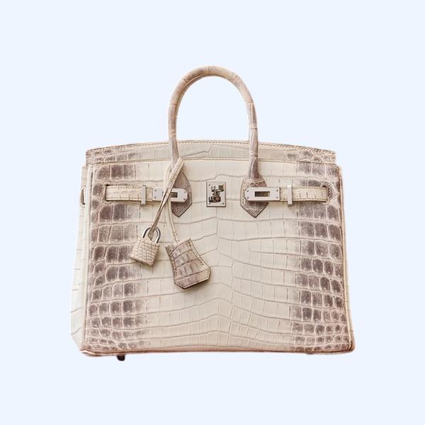 에르메스 버킨 25 르투르네 닐로티커스 히말라야 크로커다일 실버 하드웨어