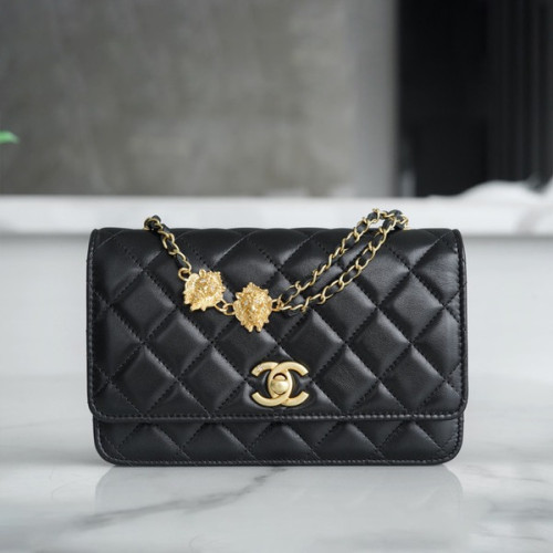 샤넬 미니 더블체인 WOC