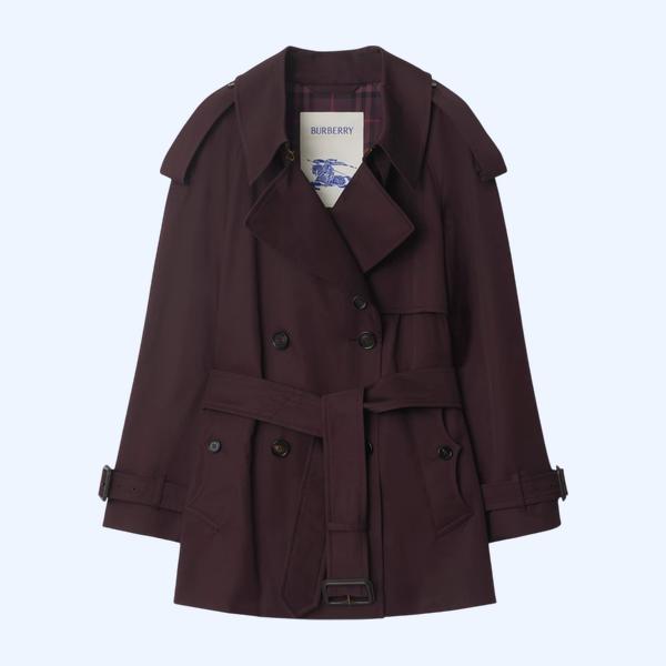 쇼트 개버딘 피츠로비아 트렌치코트