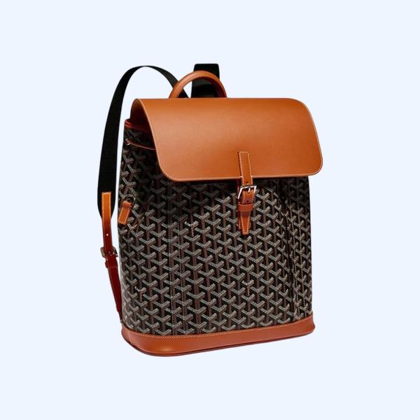 고야드 알파인 MM 백팩 탄