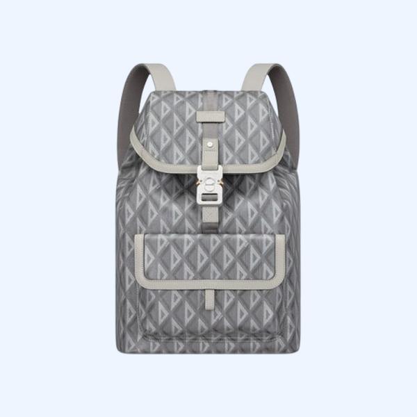 디올 힛 더 로드 백팩 그레이