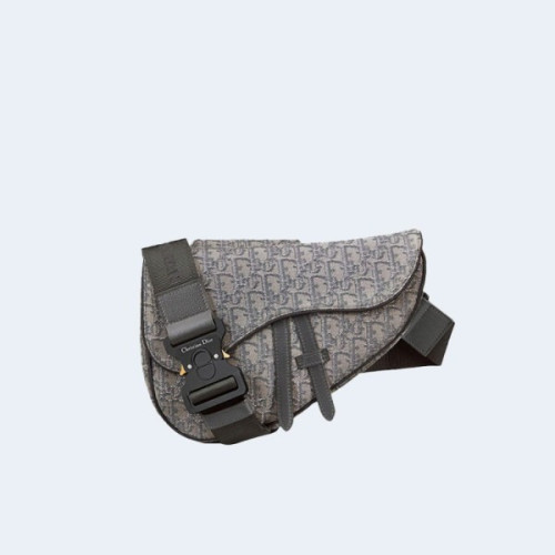 디올 Saddle 백 그레이