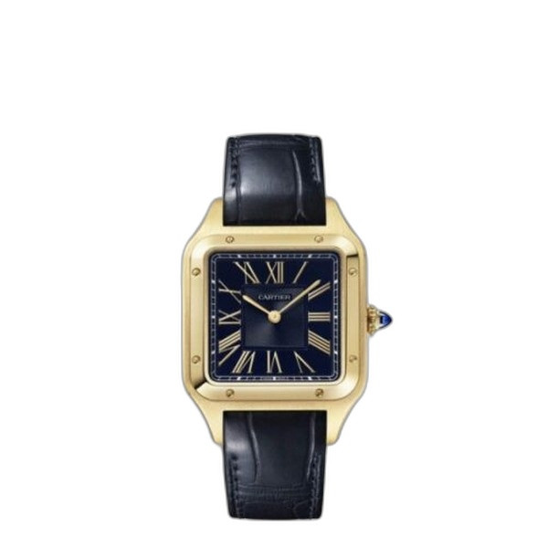 산토스-뒤몽 WGSA0077