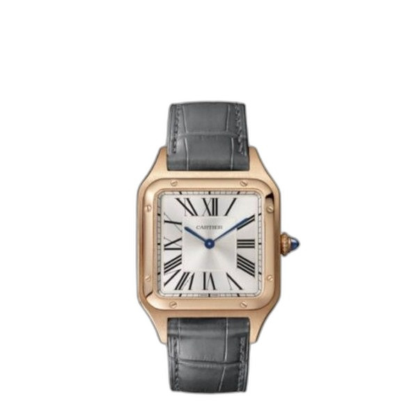 산토스-뒤몽 WGSA0021