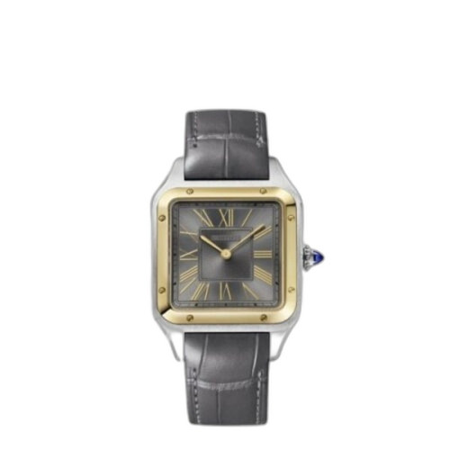 산토스-뒤몽 W2SA0028