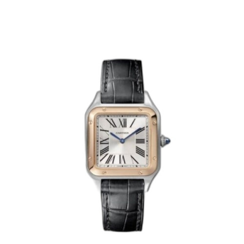 산토스-뒤몽 W2SA0012