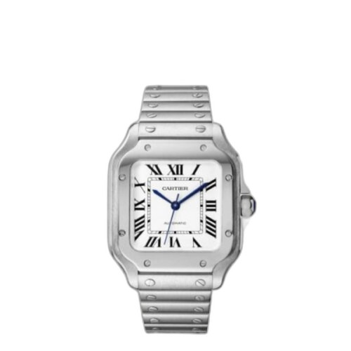 산토스 드 까르띠에 WSSA0029