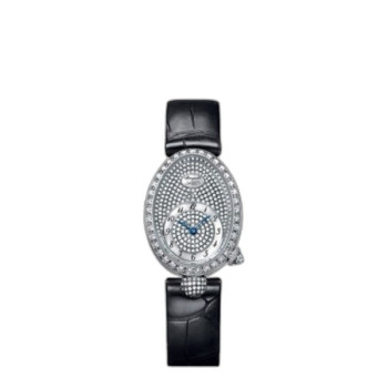 레인 드 네이플 33 8928BB